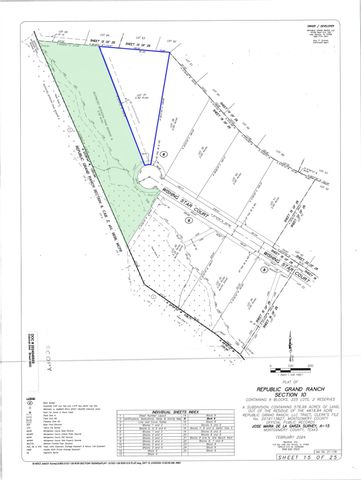 11707 Wishing Star Court, Willis, TX 77378