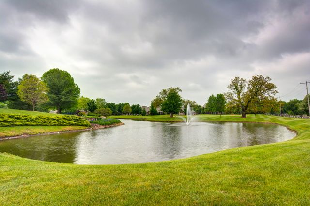 6307 S Meadowview Drive, Ozark, MO 65721
