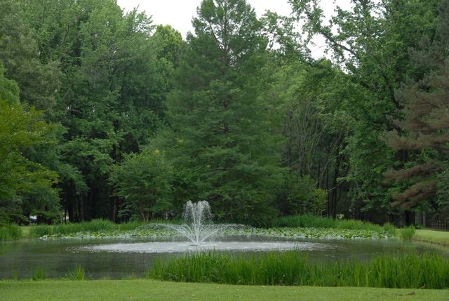 11403 COUNTRY FOREST CV, Collierville, TN 38017