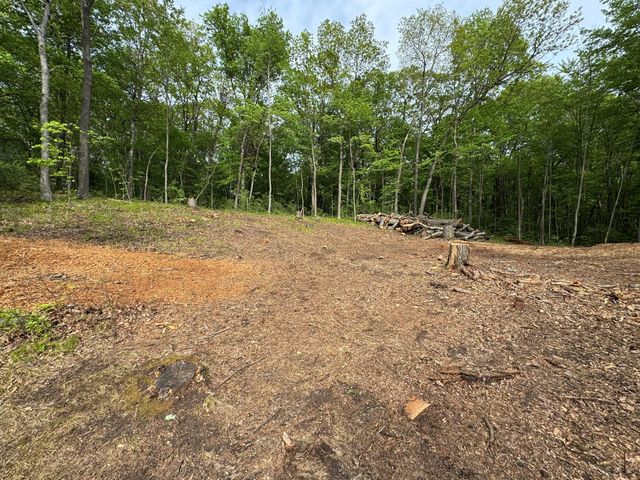0 Weiman Drive, Pinckney, MI 48169
