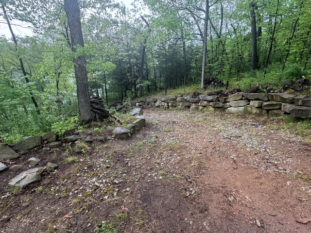 0 Weiman Drive, Pinckney, MI 48169