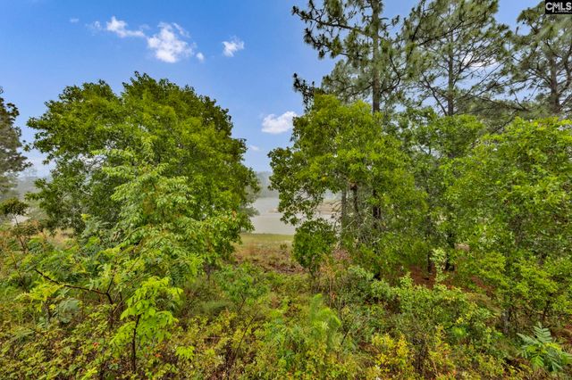 212 Indigo Springs Drive, Columbia, SC 29229