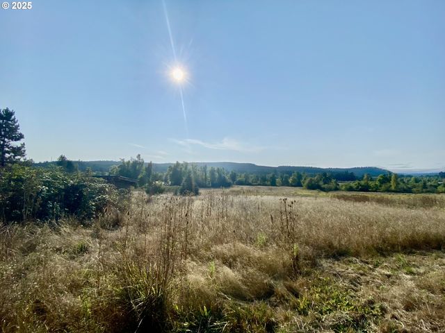 79128 TERRITORIAL Hwy, Lorane, OR 97451