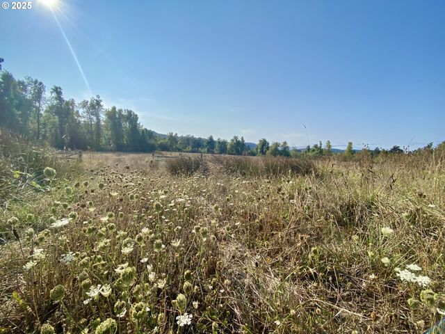 79128 TERRITORIAL Hwy, Lorane, OR 97451