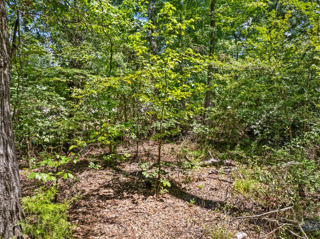 Tract 1 Highway 271, Talco, TX 75487