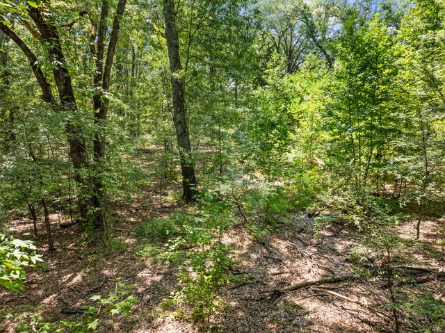 Tract 1 Highway 271, Talco, TX 75487