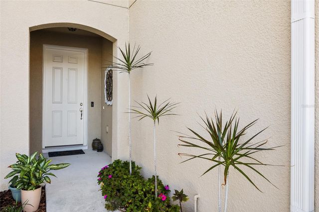 14205 DAMSELFLY DRIVE, Tampa, FL 33625