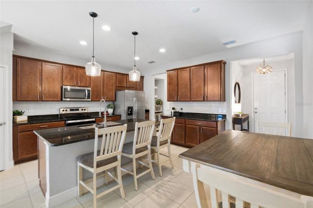 14205 DAMSELFLY DRIVE, Tampa, FL 33625