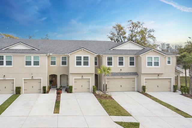 14205 DAMSELFLY DRIVE, Tampa, FL 33625