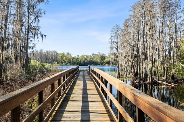 14205 DAMSELFLY DRIVE, Tampa, FL 33625