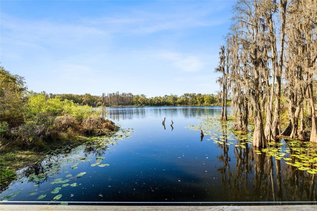 14205 DAMSELFLY DRIVE, Tampa, FL 33625