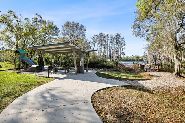 14205 DAMSELFLY DRIVE, Tampa, FL 33625