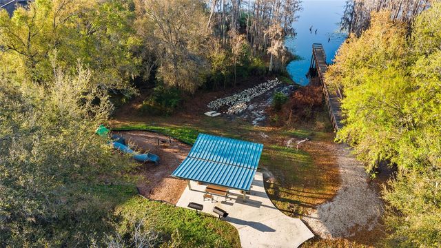 14205 DAMSELFLY DRIVE, Tampa, FL 33625