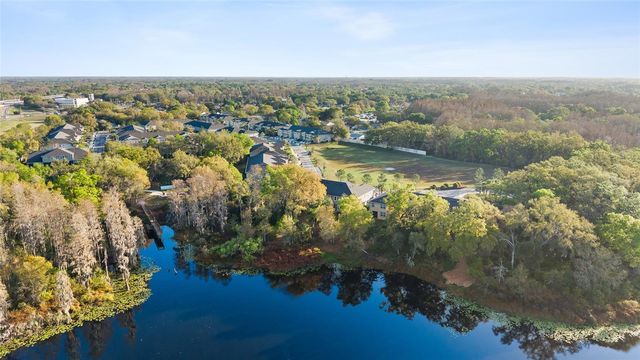 14205 DAMSELFLY DRIVE, Tampa, FL 33625