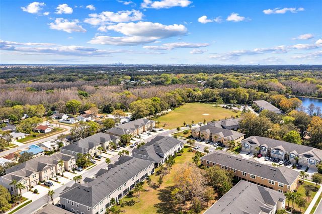 14205 DAMSELFLY DRIVE, Tampa, FL 33625