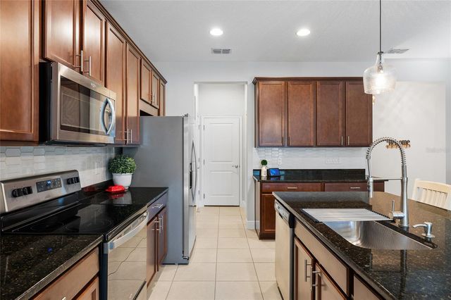 14205 DAMSELFLY DRIVE, Tampa, FL 33625