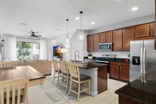 14205 DAMSELFLY DRIVE, Tampa, FL 33625