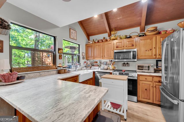 65 Vienna Ring, Helen, GA 30545