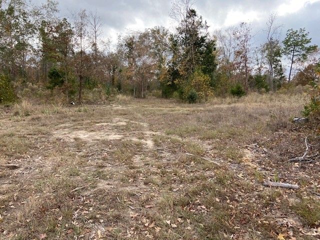 536 An County Road 1233, Palestine, TX 75801