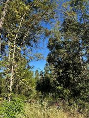 536 An County Road 1233, Palestine, TX 75801