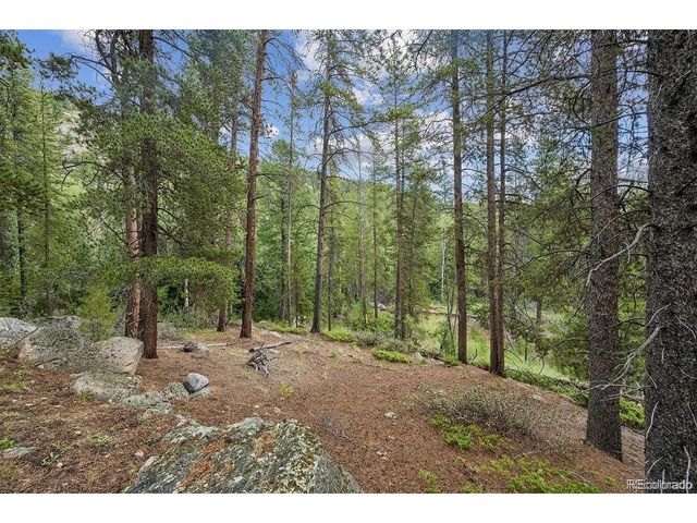 1 Fall River Rd, Idaho Springs, CO 80452