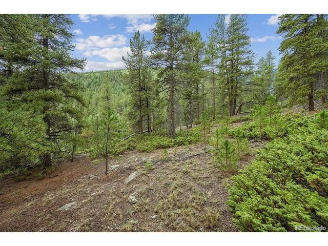 1 Fall River Rd, Idaho Springs, CO 80452