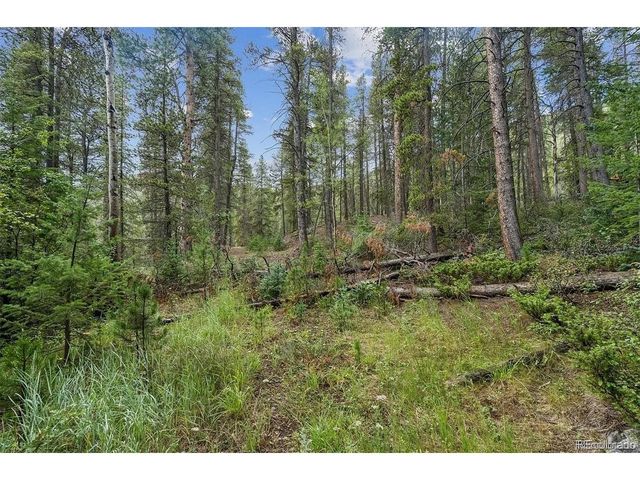 1 Fall River Rd, Idaho Springs, CO 80452