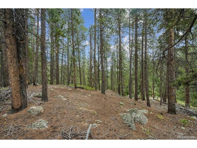 1 Fall River Rd, Idaho Springs, CO 80452