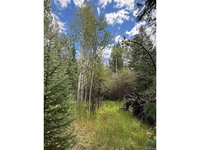 1 Fall River Rd, Idaho Springs, CO 80452