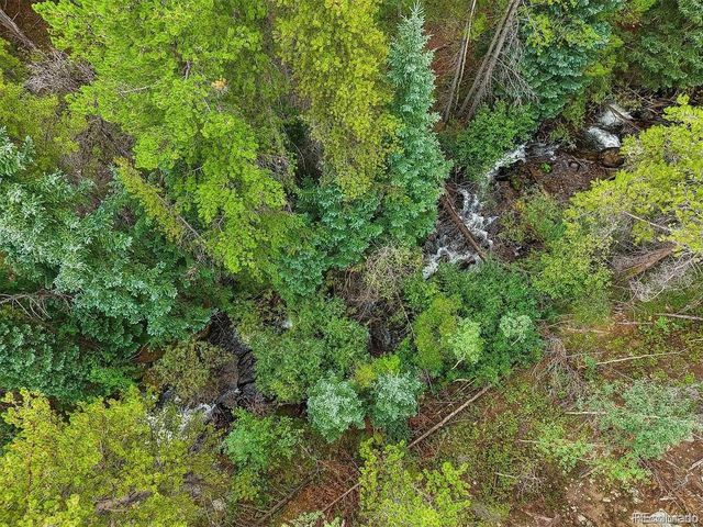 1 Fall River Rd, Idaho Springs, CO 80452