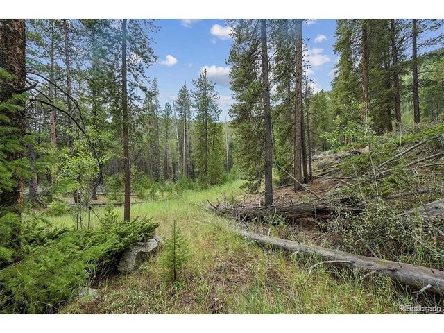 1 Fall River Rd, Idaho Springs, CO 80452