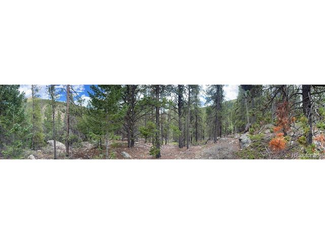 1 Fall River Rd, Idaho Springs, CO 80452