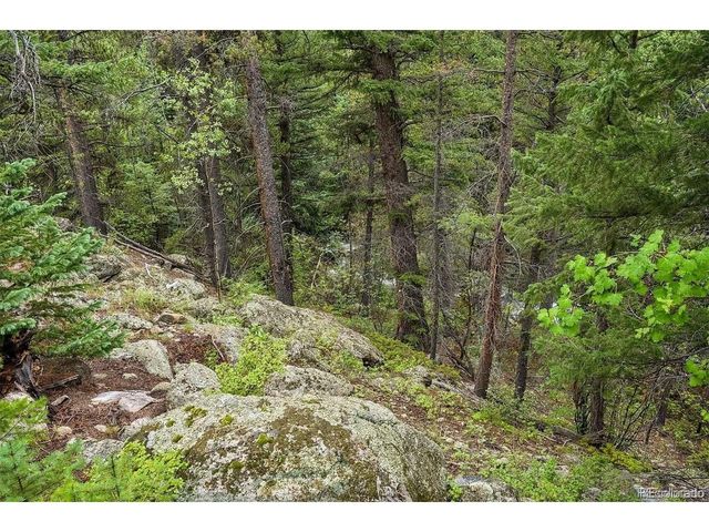1 Fall River Rd, Idaho Springs, CO 80452