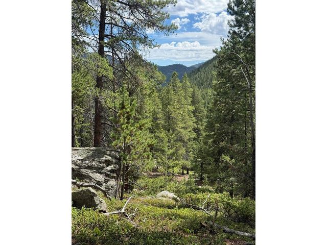 1 Fall River Rd, Idaho Springs, CO 80452