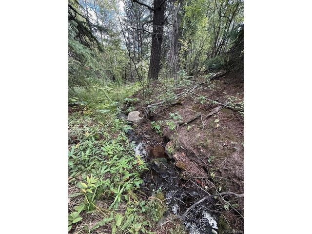 1 Fall River Rd, Idaho Springs, CO 80452