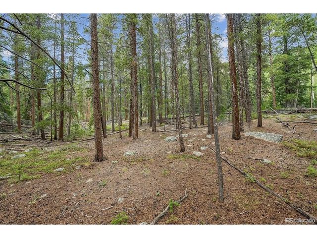 1 Fall River Rd, Idaho Springs, CO 80452