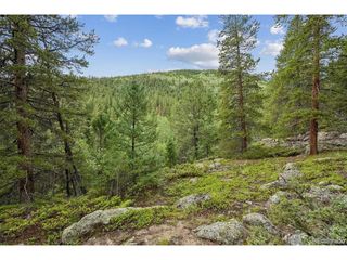 1 Fall River Rd, Idaho Springs, CO 80452