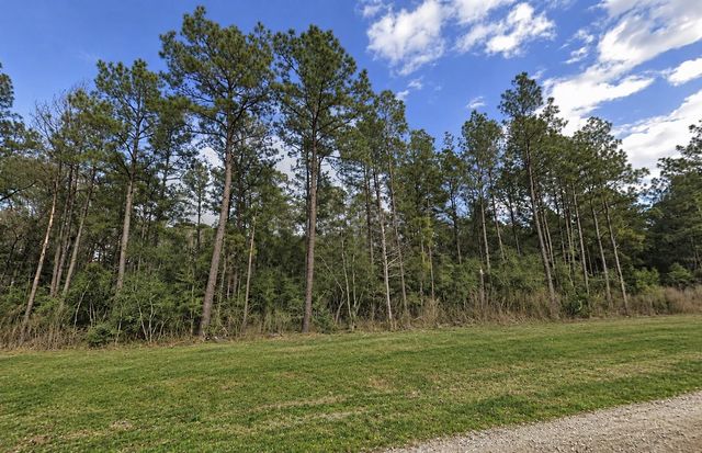 15437 Woodlife Road, Willis, TX 77378