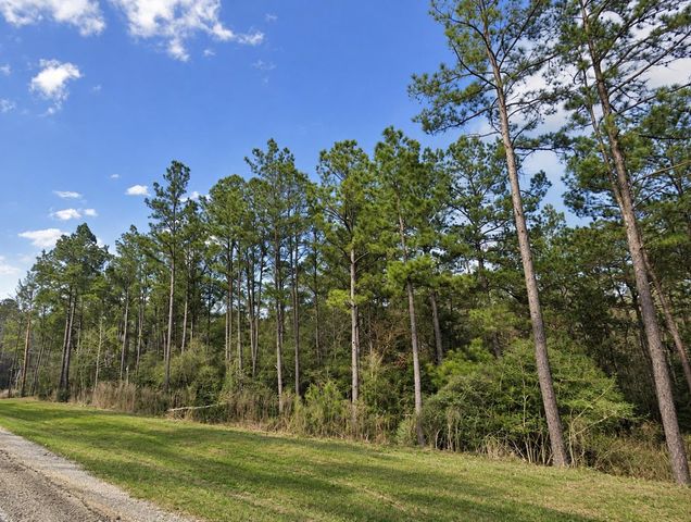 15437 Woodlife Road, Willis, TX 77378