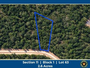 15437 Woodlife Road, Willis, TX 77378