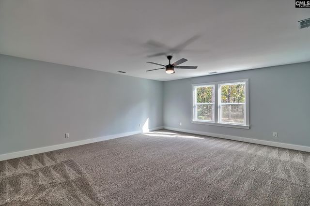 209 Lynch Lane, Chapin, SC 29036