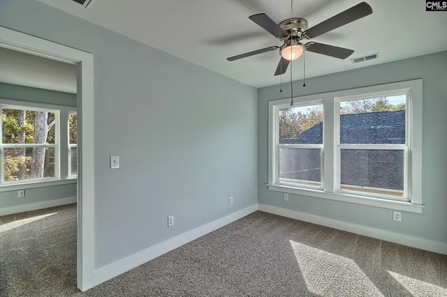 209 Lynch Lane, Chapin, SC 29036