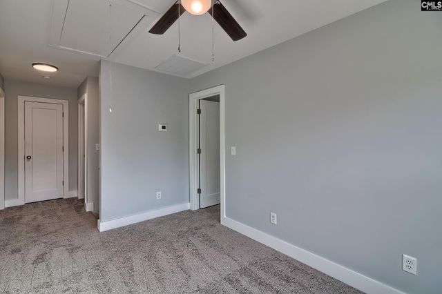 209 Lynch Lane, Chapin, SC 29036