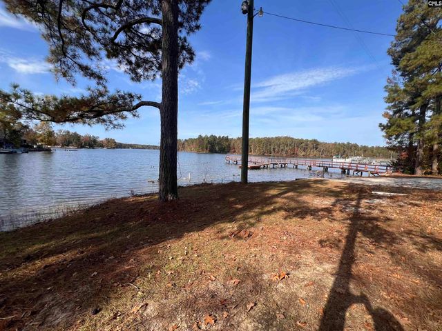 209 Lynch Lane, Chapin, SC 29036