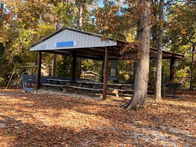209 Lynch Lane, Chapin, SC 29036