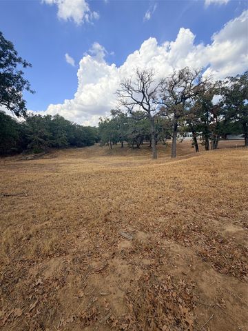 153 Catfish Trail, Bowie, TX 76230