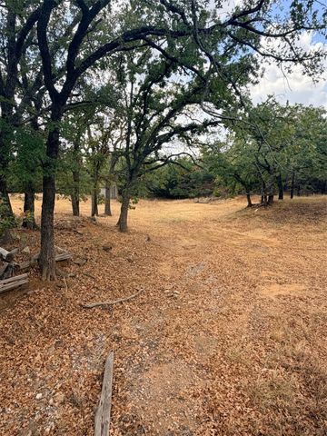 153 Catfish Trail, Bowie, TX 76230