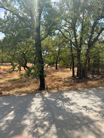 153 Catfish Trail, Bowie, TX 76230