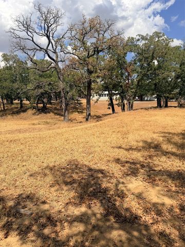153 Catfish Trail, Bowie, TX 76230