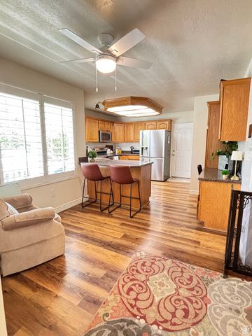1029 E 1380 S, Spanish Fork, UT 84660